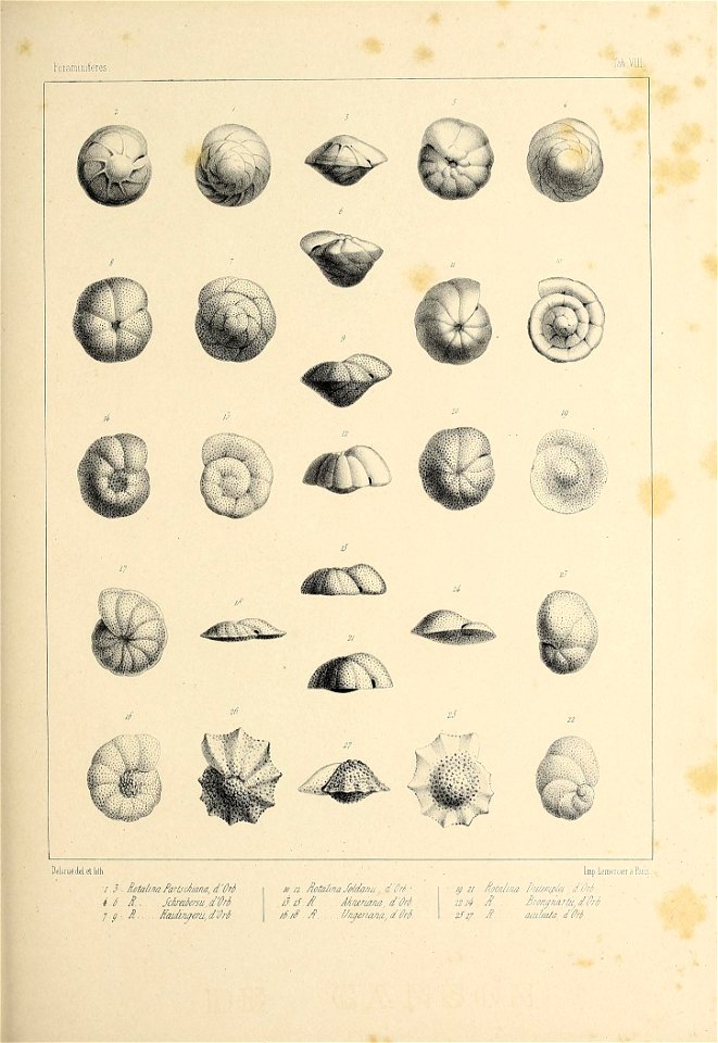 n376_w1150