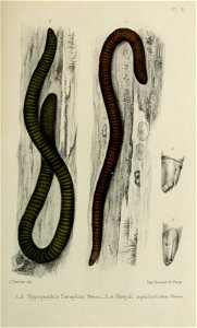 n292_w1150