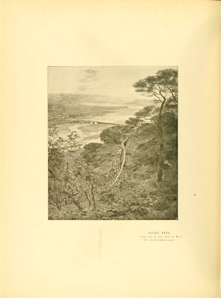 n345_w1150