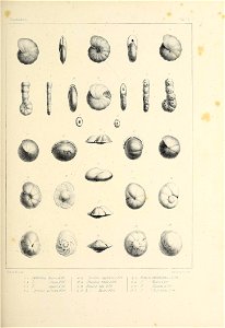 n374_w1150