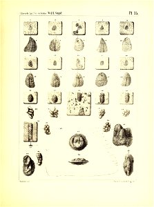 n148_w1150
