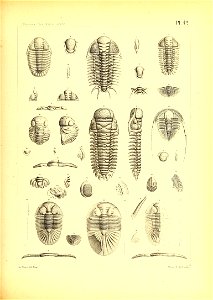 n178_w1150