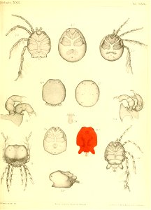 n636_w1150