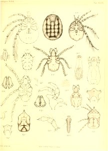 n692_w1150