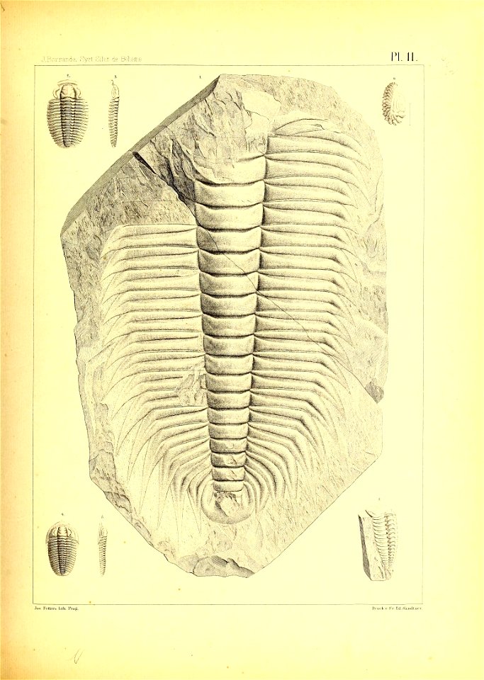 n54_w1150