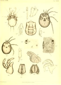 n688_w1150