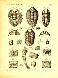 n136_w1150