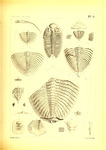 n110_w1150