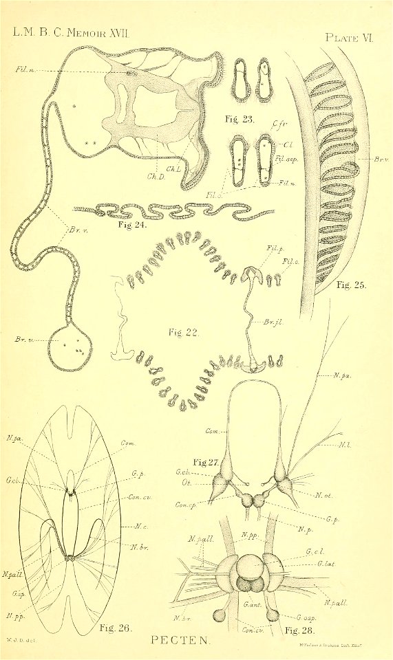 n156_w1150