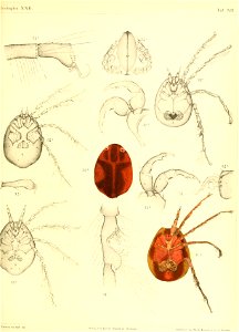 n564_w1150