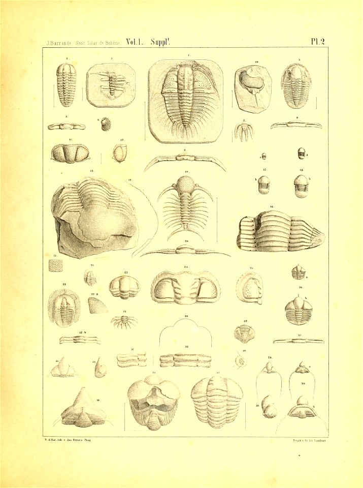 n16_w1150