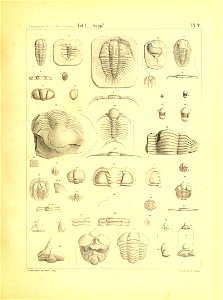 n16_w1150