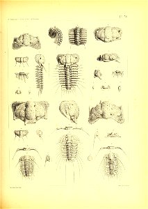 n162_w1150