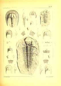 n46_w1150