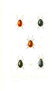 n536_w1150