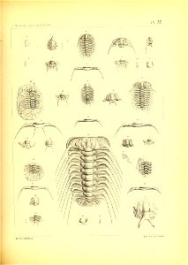 n158_w1150