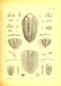 n102_w1150