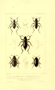 n678_w1150
