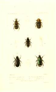 n588_w1150