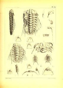 n154_w1150