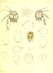 n672_w1150