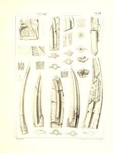 n120_w1150
