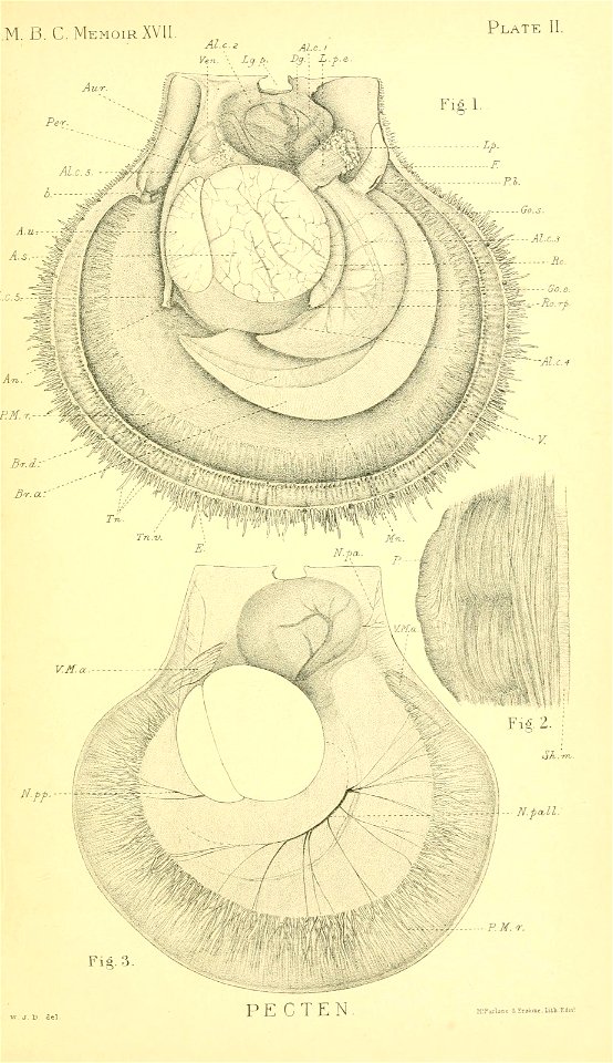 n148_w1150