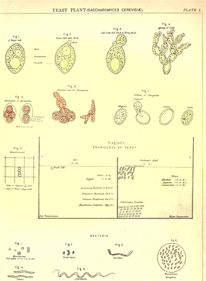 n15_w1150