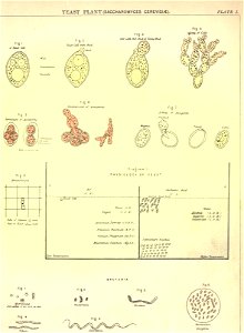 n15_w1150