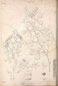 n159_w1150