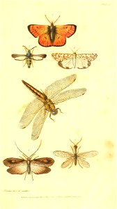 n552_w1150