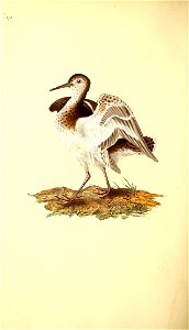 n145_w1150