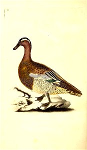 n155_w1150