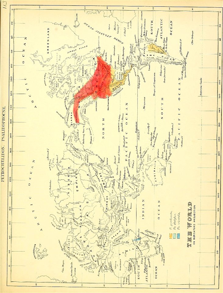 n232_w1150