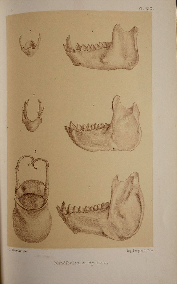 n304_w1150