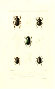 n568_w1150