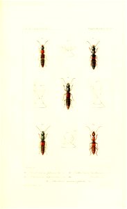n392_w1150