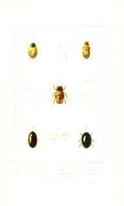 n552_w1150