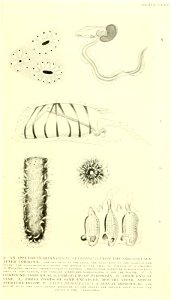 n576_w1150