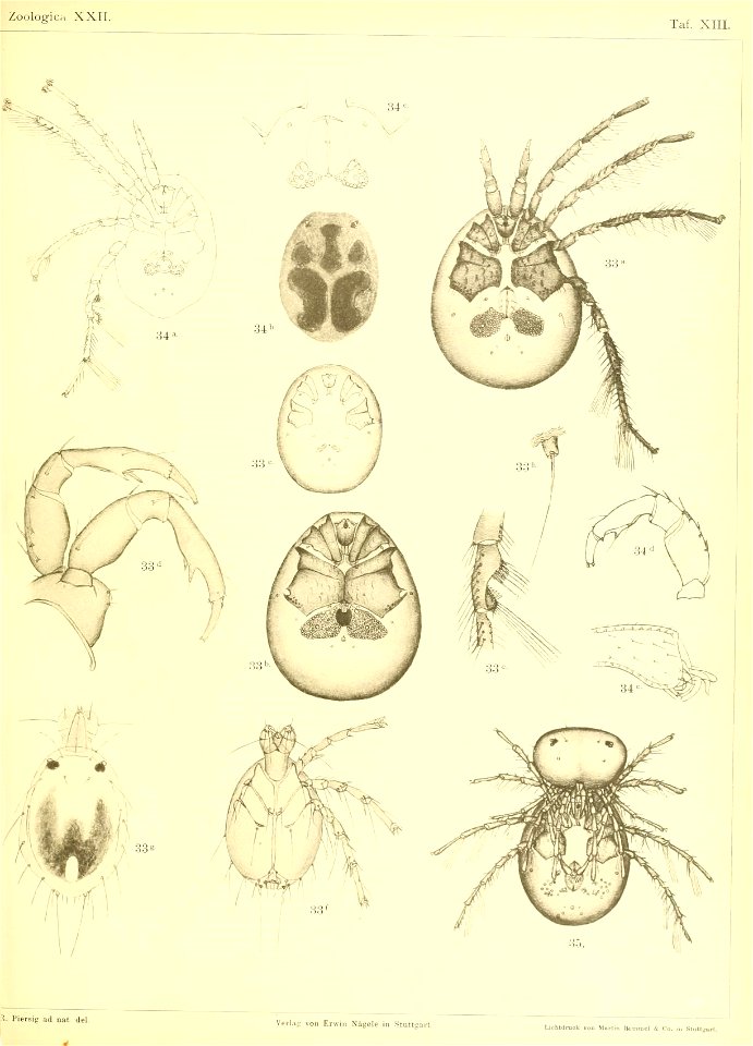 n568_w1150