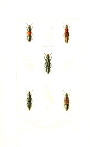n388_w1150