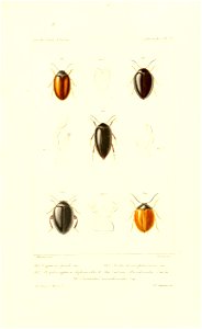 n622_w1150