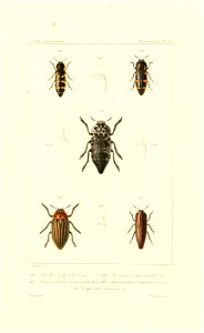 n592_w1150