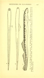 n538_w1150