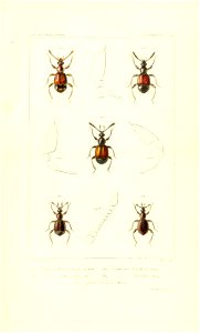 n574_w1150
