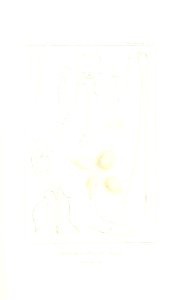 n484_w1150