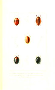 n472_w1150
