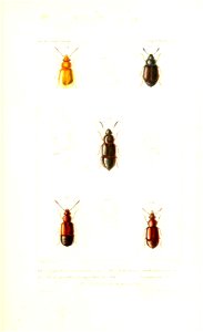 n412_w1150
