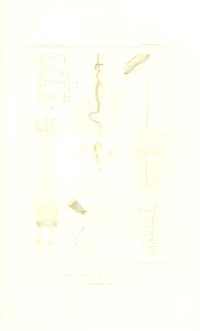 n482_w1150