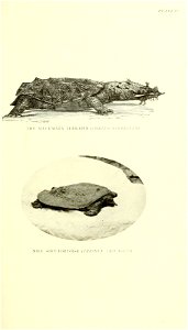 n86_w1150